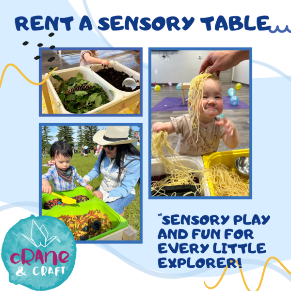 Rent A Sensory Table (or Rent to Buy)